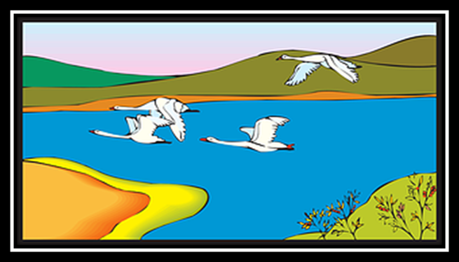 G�nse, Fliegen, V�gel, Wei�, Flucht